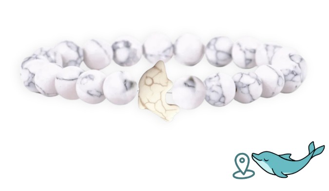 Dolphin Tracking Bracelet